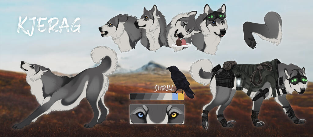 Canine example Canine example