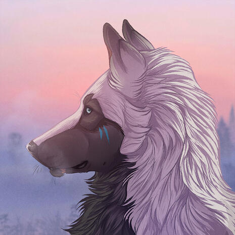 wolf wolf